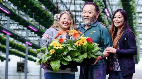 1968 Christmas Greenery Business