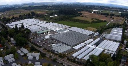 Aerial view of Iwasaki Bros nursery
