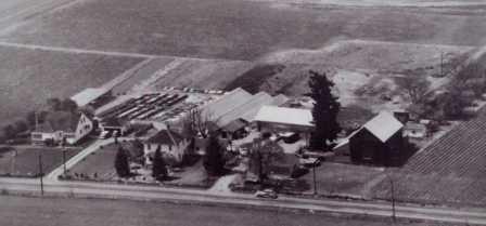 1920s Switch to Crops